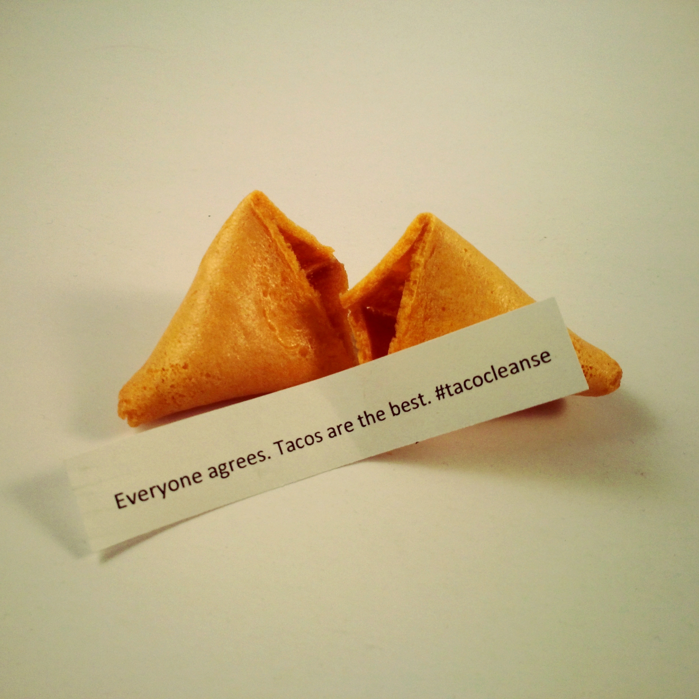 taco fortune